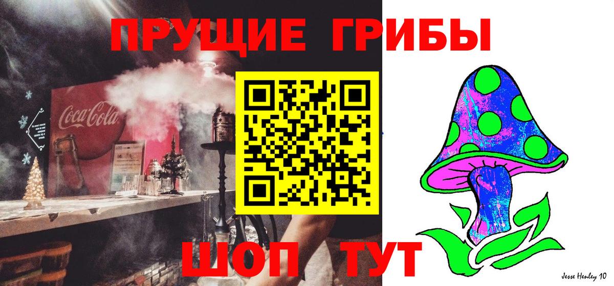 Псилоцибиновые грибы Cubensis Камышин