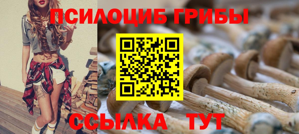 Камышин  Псилоцибиновые грибы Psilocybine cubensis  Галлюциногенные грибы Psilocybe  Вход с VPN 